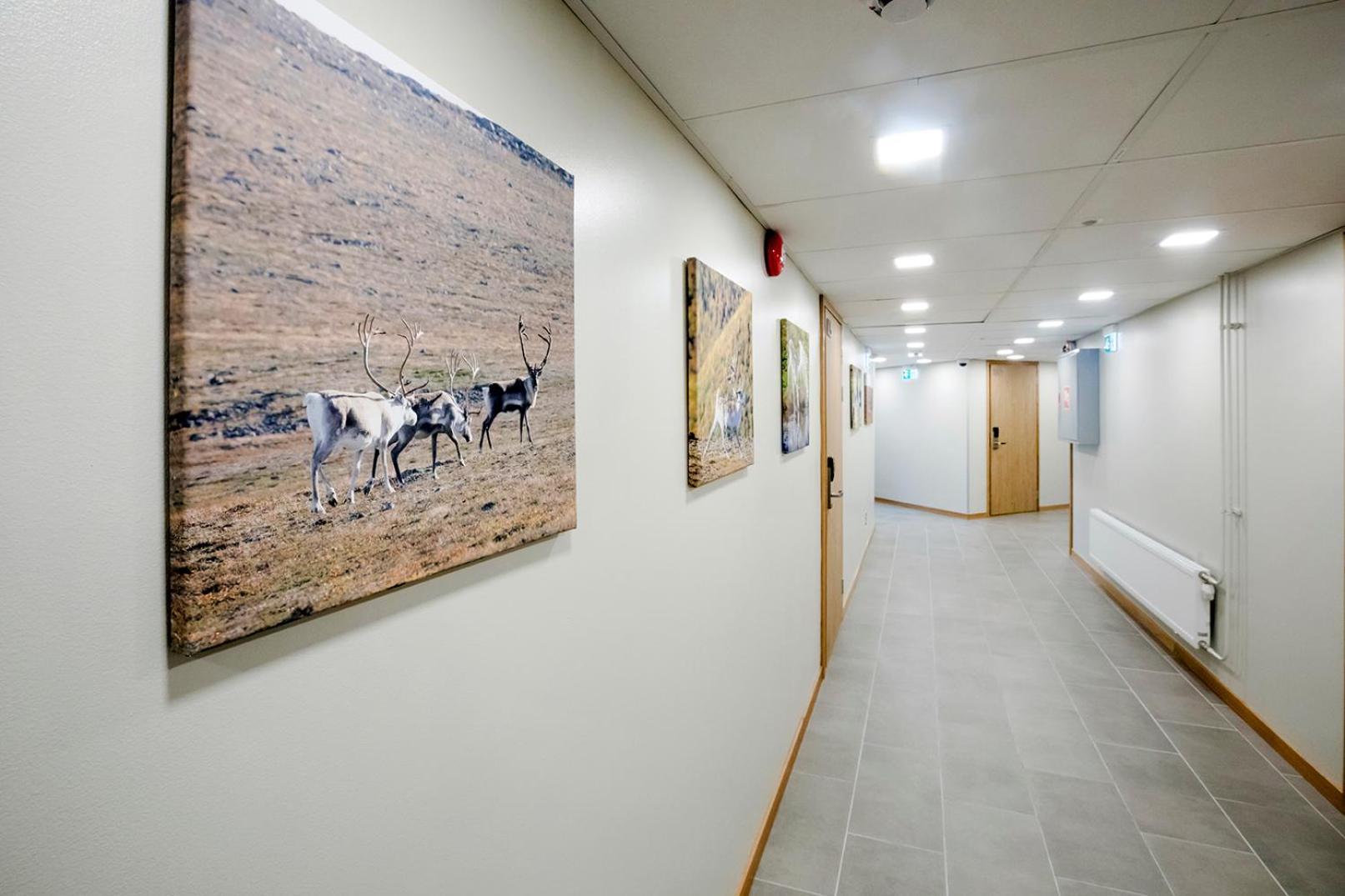 Hostel Toivola Κέμι Εξωτερικό φωτογραφία